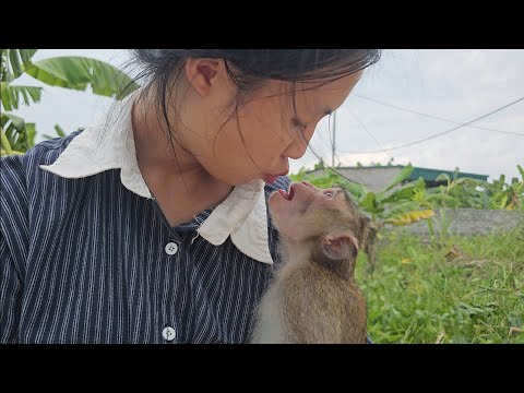 Huong returned home after a month of disappearance. Nahu was overwhelmed with emotion.