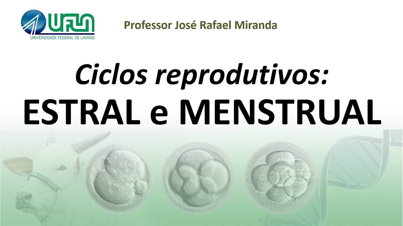 Ciclos reprodutivos estral e menstrual
