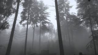 Satyricon Taakeslottet (HQ)