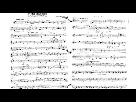 Point Lookout by Brian Balmages with VLN2 visual on screen