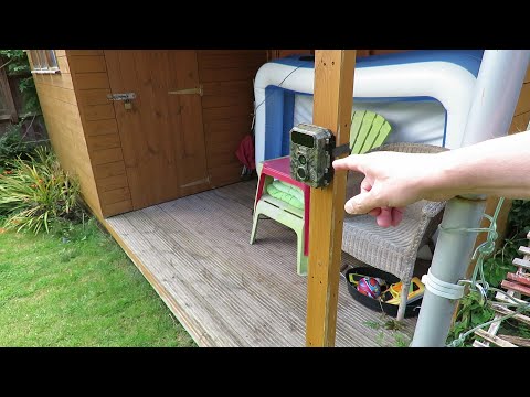 Victure Mini Wildlife Camera first test 20200823