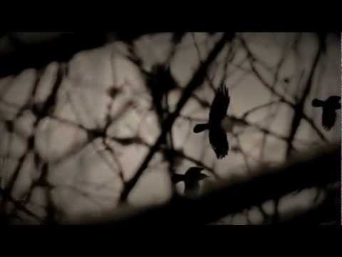 Edgar Aleksanyan - Curt E Drsum