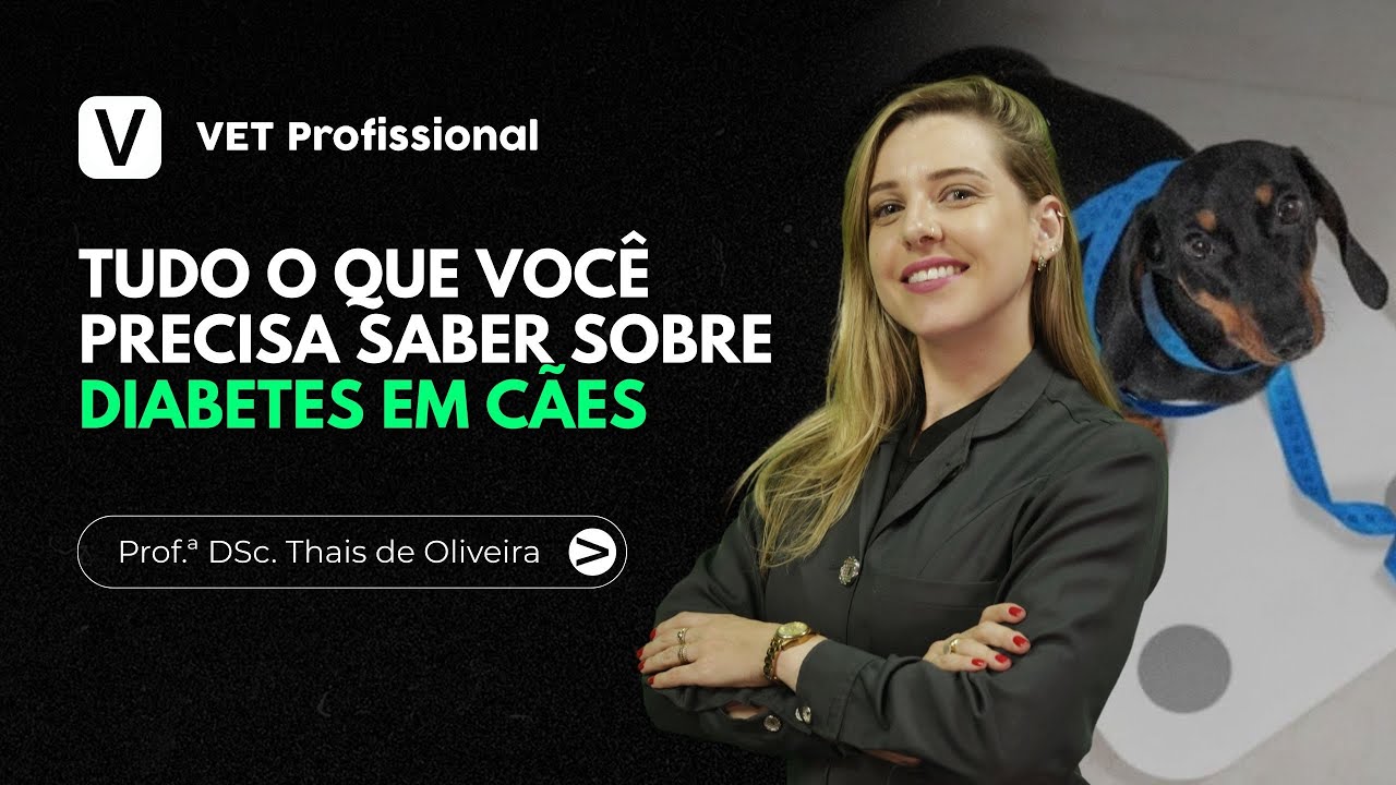 Tudo o que você precisa saber sobre Diabetes em cães | VET Profissional