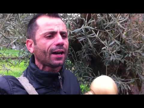 Manuel Carriço e Vitor Costa - Fadinho