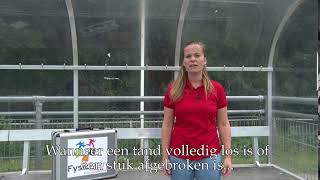 Wat te doen bij een gebroken of losse tand?