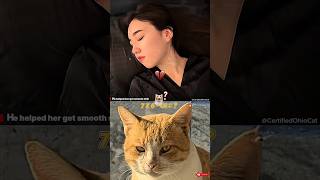 WAIT FOR TWIST 💀 #funny​ #cat​ #dance​ #shorts​