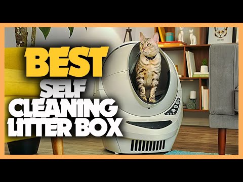 10 Best Self Cleaning Litter Box 2022 You Buy For Your Pets