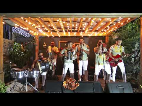 The New Mambo - Demasiado Muchachita (Versión Musicologos En Vivo)