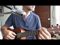 Peter Brophy Don't Care - Lindisfarne cover ukulele