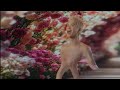 Minh Đinh Nằm Bên Anh Ft Hà An Huy Official MV