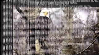 Mình gặp vấn đề sau đây khi cài đặt Mavericks GM, các bạn xem giúp mình nhé!

Mô tả:...