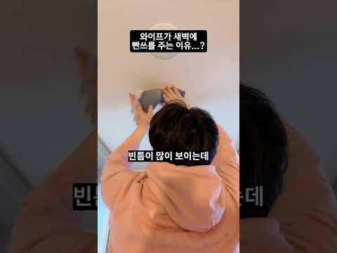 도대체 뭐 하는 짓이야...? #Shorts