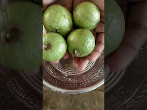 Guava | Orange | MINTU BEN #youtubeshorts  #ytshorts  #shorts  #food  #fruits