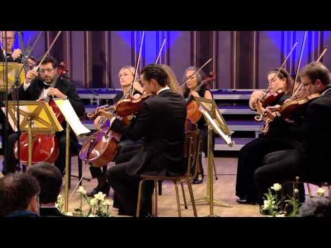 New European String Chamber Orchestra & Dmitry Sitkovetsky - Tchaikovsky | Enescu Festival 2015