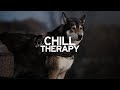 SKOTT - Wolf (with Lyrics)