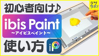 【初心者必見!】デザイナーが教える |アイビスペイントの使い方~超入門~【ibisPaint/お絵描き・イラストアプリ】