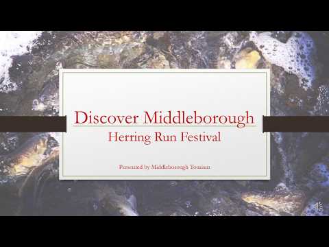 Discover Middleborough's Herring Run Festival