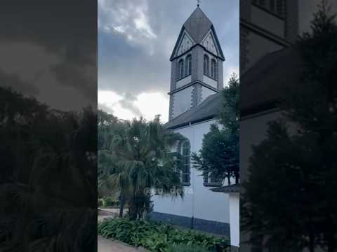 São Martinho 25/08/25