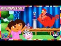 Dora The Explorer The Magic Show Akili Kids