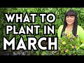 Top 40 Veggies To Plant In March For A Thriving Spring Garden // Garden Planting Inspiration