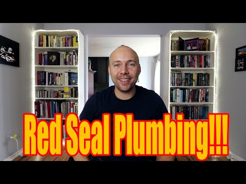 Fastest Way To Get Your Plumbing Red Seal