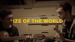 Ize Of The World - Acoustic Guitar Cover with Singing (The Strokes)
