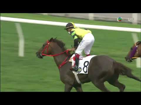 2021/22 (653) - Dragon Fortune (皇龍福將) - 田泰安賽日四 Wins