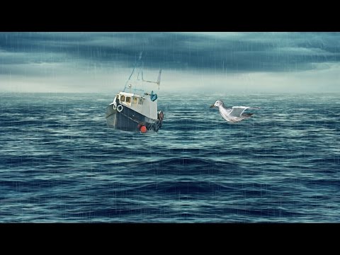 Big Peat The German North Sea Coast Edition