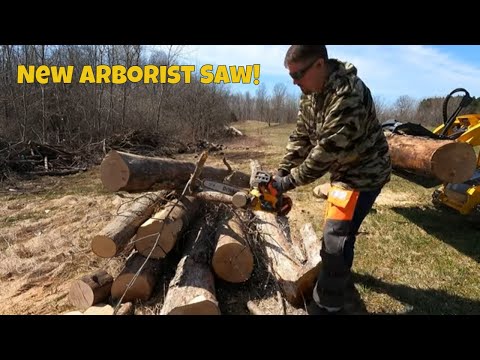 Review Of The DEWALT 60v 14" Top Handle Chainsaw: A Powerful Saw Worth Checking Out! #dewalt