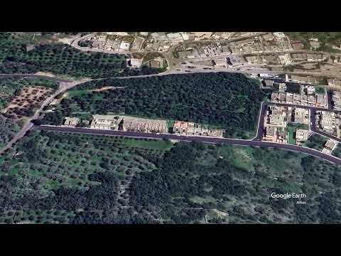 Zelante Immobiliare Castro