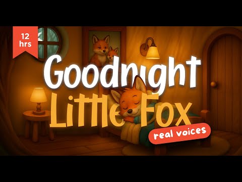 12 HOUR Goodnight Little Fox 🦊 Real Human Voices | Calming Bedtime Story for Toddlers