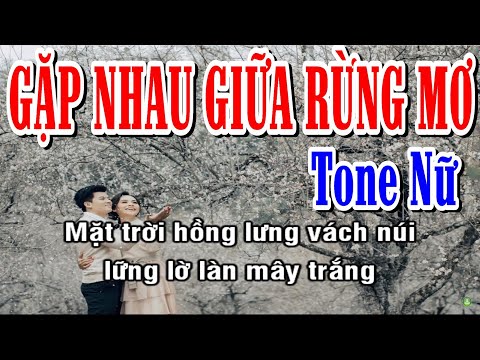 Gặp Nhau Giữa Rừng Mơ - Karaoke Tone Nữ Âm ✦ Thanh Chuẩn | Yêu ca hát - Love Singing |