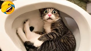 Hilarious animals will make you laugh to die 😂
