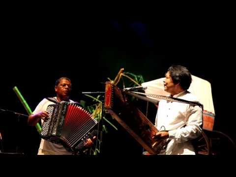 All stars Madagascar