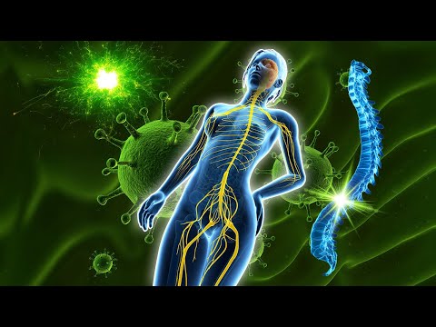 Alpha-Wellen (Achtung: Sehr kraftvoll!) In 20 Minuten heilt Musik Körperschäden und baut Stress ab