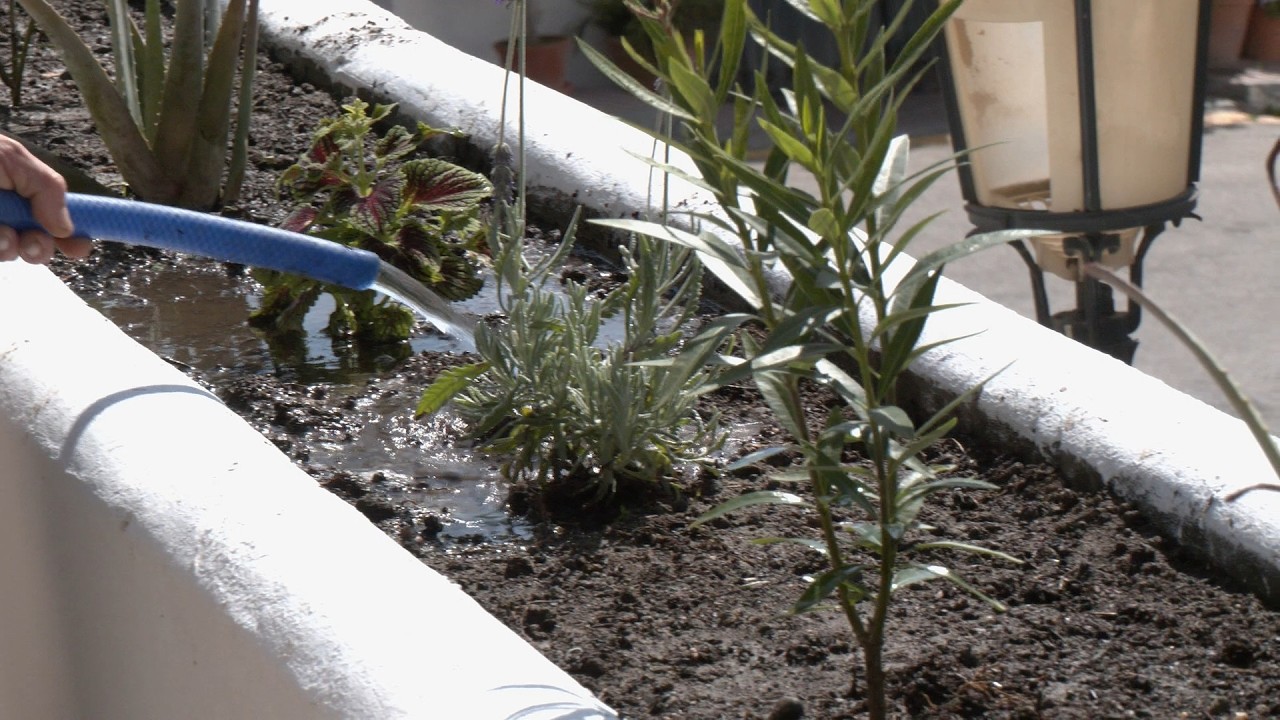 Trabajos de adecentamiento de cara a la semana Santa