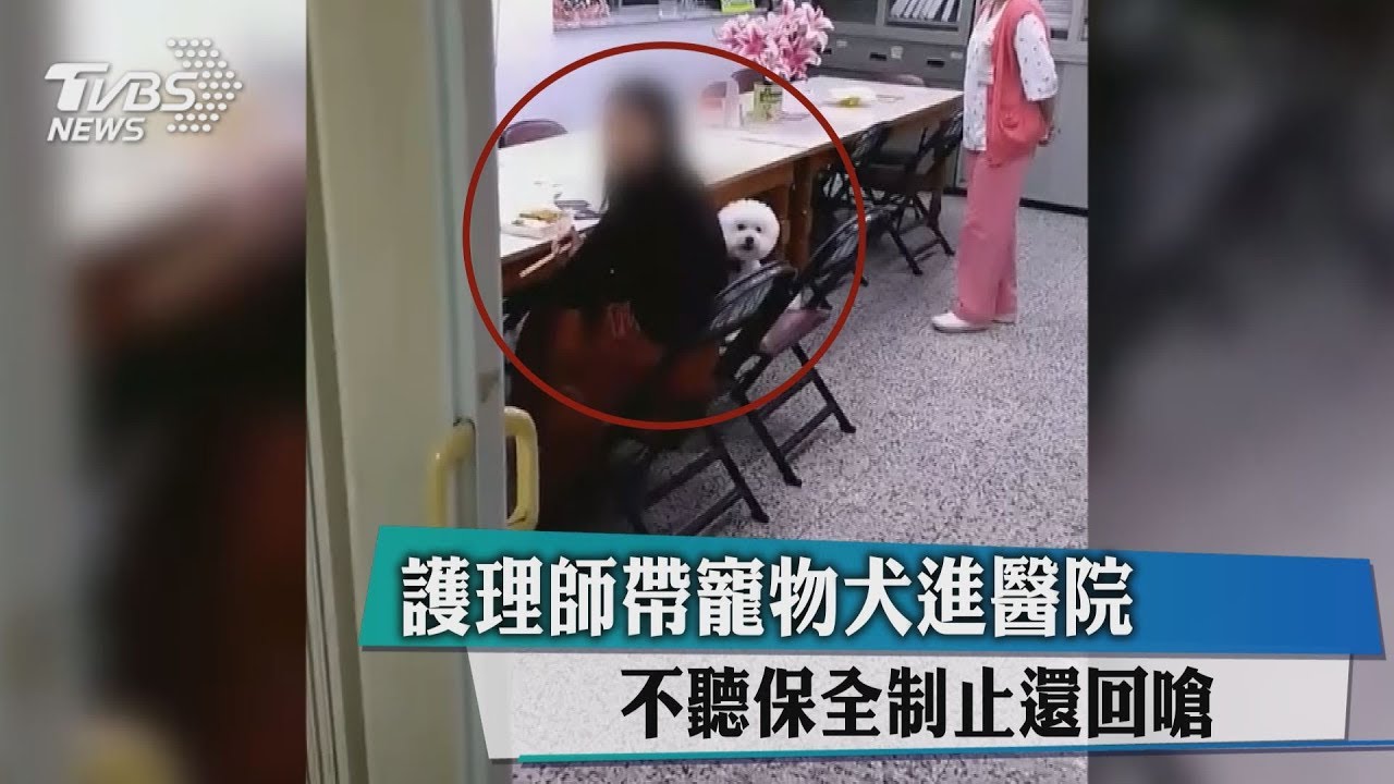 護理師帶寵物犬進醫院　不聽保全制止還回嗆