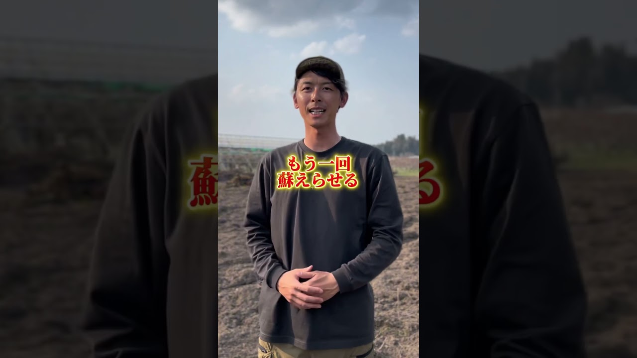 #農家 #農業 #耕作放棄地