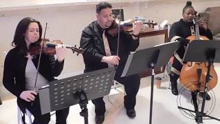 From This Moment On by Shania Twain, String Trio
