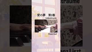 Download lagu リスト／愛の夢　第3番　盛り上がるところ　 #ピアノ #piano #弾いてみた mp3