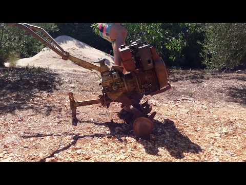 Lombardini Tipo 520 / Casorzo Fräse Motorhacke Vertikutierer