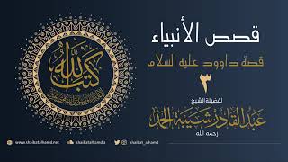 صورة (40) داود عليه السلام (3) القاضي داود والمستشار سليمان | الشيخ عبدالقادر شيبة الحمد