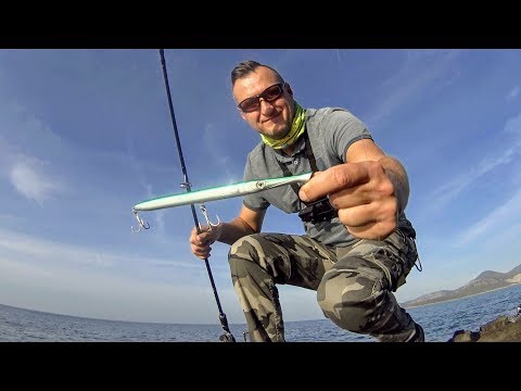 Tunny, Pompano, Grouper. 04.11.2018