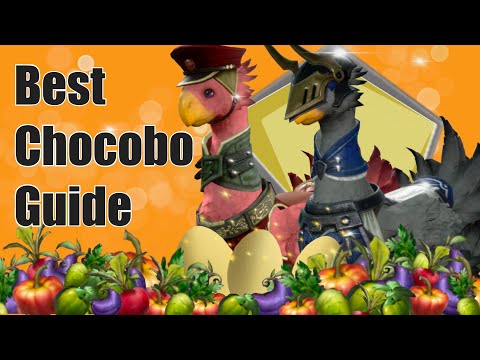 FF7 First Soldier: Best Chocobo Guide (Breeding, Feeding & More)