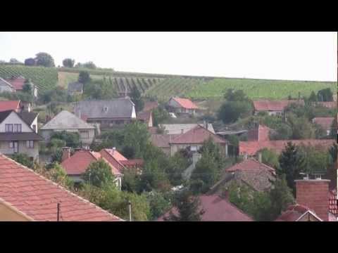 One of the Royal Tokaji vineyards above Mád