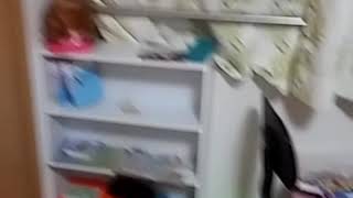 掃除してきれいになったー最後に突っ込んだら腰やった…………(ノ_・。)