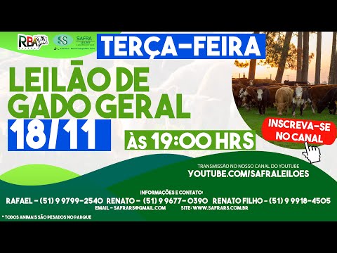 LEILÃO DE GADO GERAL (18/11) - SAFRA LEILÕES / PASSO DO SOBRADO-RS