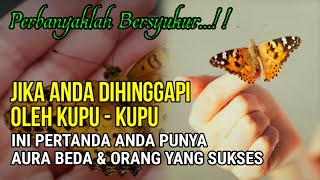 Download lagu PERBANYAKLAH BERSYUKUR !! JIKA ANDA DIHINGGAPI OLEH KUPU KUPU, INI PERTANDA BAIK DARI ALLAH UNTUKMU mp3