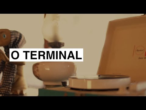 Terminal video