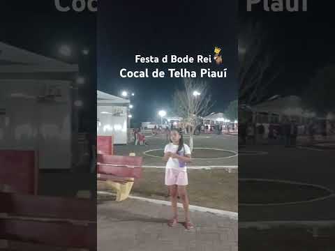 Feira do Bode Rei em Cocal de Telha Piaui